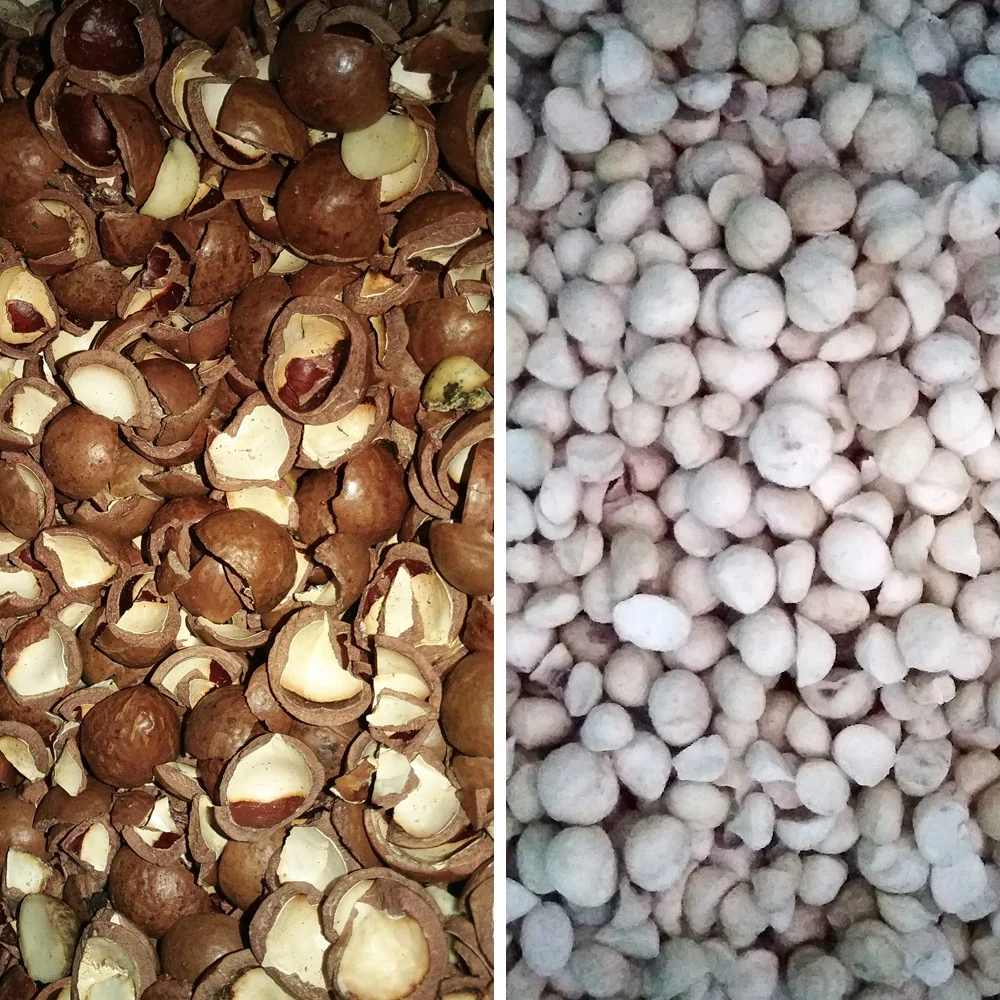 Macadamia Nut Sorting and Separator Machine Processing Equipment for Flour Mill with Soybean Corn Wheat As Raw Materials