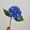 #5 royal blue