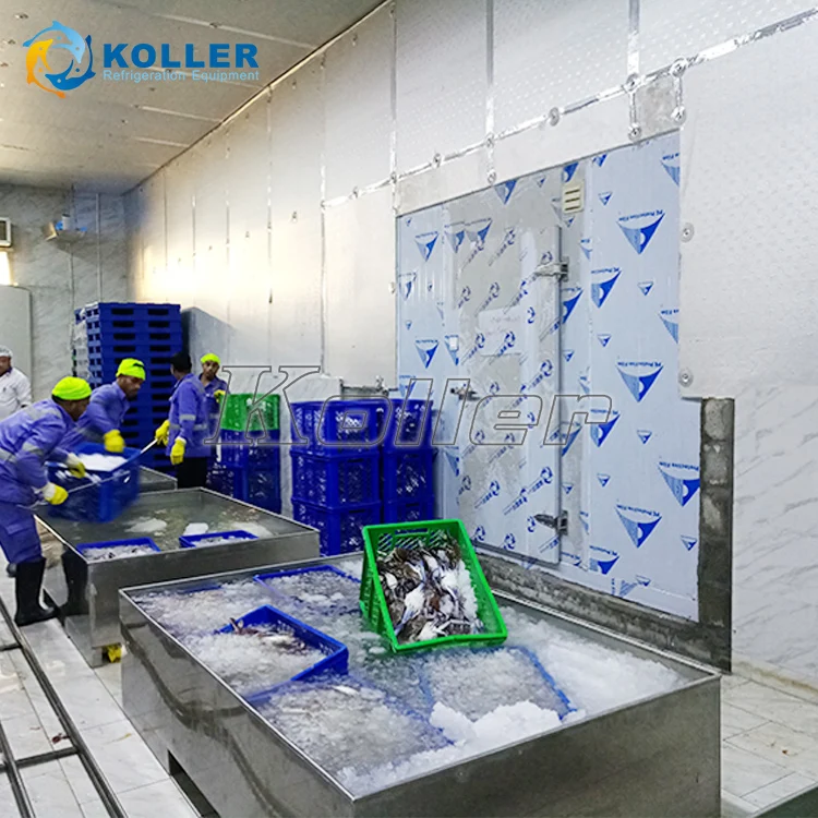 High Quality Flake Ice Maker 10 Tons Day in Malaysia Salt Water Flake Ice Machine for Fishery Fish Cooling and Preservation