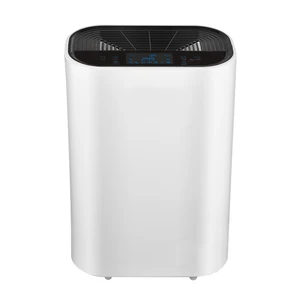 Smart Quiet Plasma High Quality Air Humidifier True Hepa Filter CE CB Intelligent Ion Air Purifier