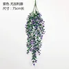 Purple (5-pronged eucalyptus vine)