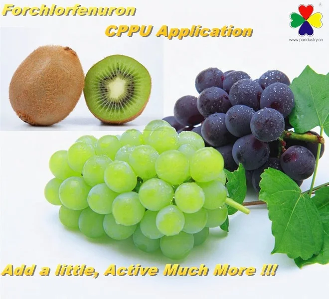 NEW ARRIVAL】 良い製品中国サプライヤー農業化学植物ホルモンホルクロ
