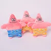 Stella per torta da 20 cm (colori assortiti)