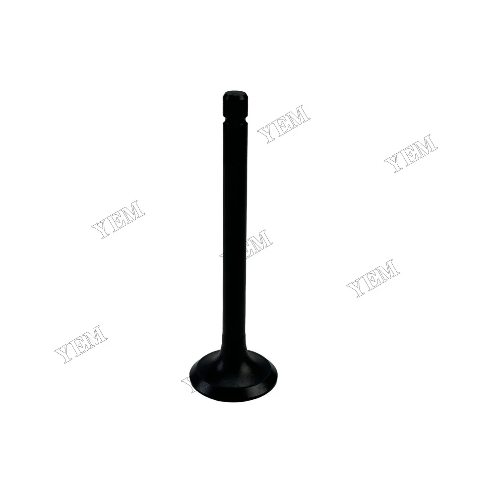 Intake Valve 120176250 Fit for Perkins 403D-11 Engine 4