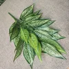ม้าลาย ต้นไม้