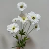 Nouveau 6 têtes blanc