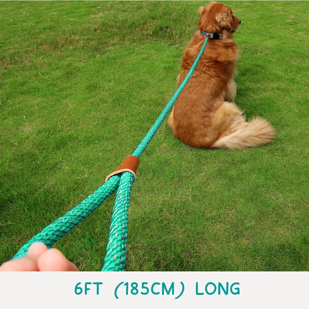 6 Ft Reflective Nylon Dog Rope Leash Durable Dog Walking Training Lead