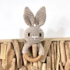 Lapin gris