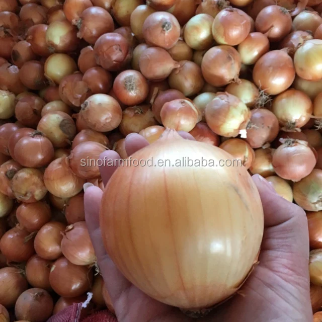 Best Quality Red Onion 50/70mm China Fresh Town Supply