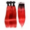 1B rosso