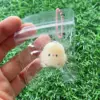 Yellow chick toy-pvc bag packaging