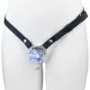 ceinture + cage à anneaux incurvés avec crochet + papillon bleu