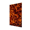 Tortoiseshell