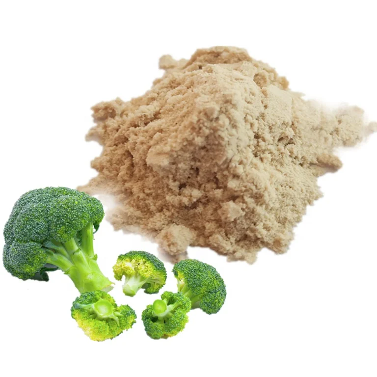 high quality pure natural vegetable broccoli sprout extract