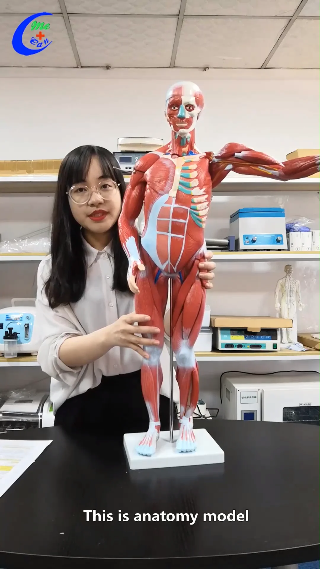 半身心肺复苏娃娃模型人体模型心肺复苏训练人体模型急救 - Buy Cpr宝宝人体模型训练,成人和小儿心肺复苏 (cpr) 假人,心肺复苏 ...