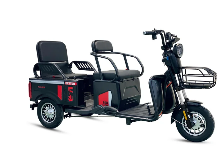 China Sale Three 3 Wheel Trike Bike Motorcycle for the Disabled