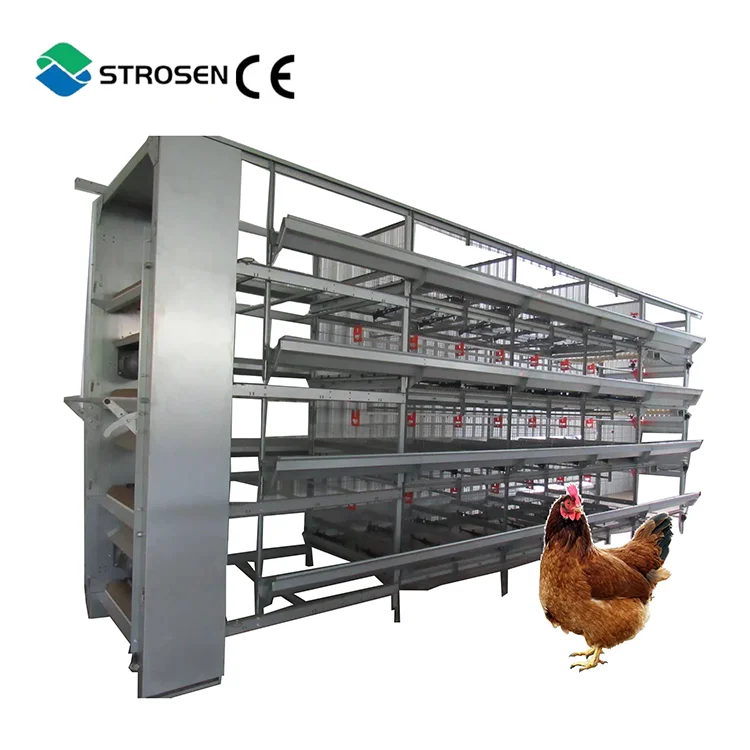 poultry farm raw materials chicken cage factory direct sale 