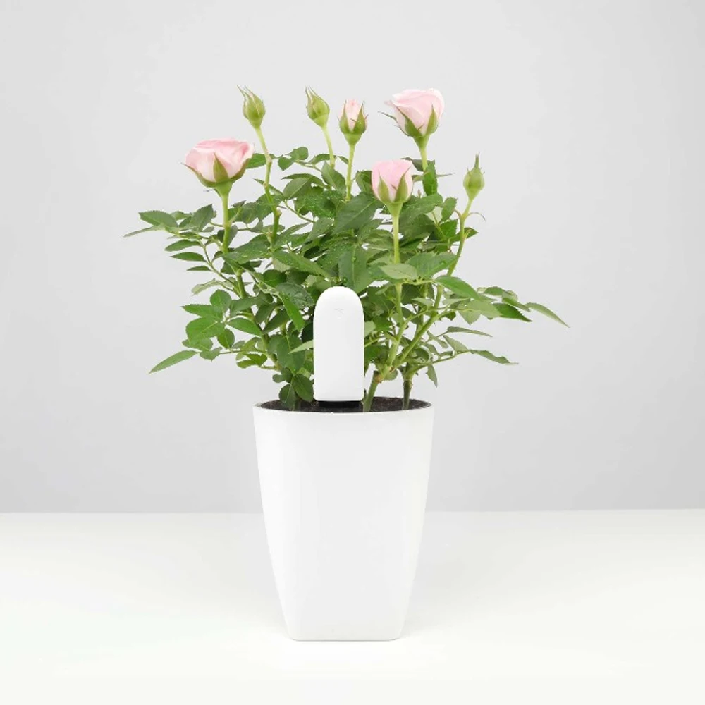 Умный монитор Xiaomi HHCC для ухода за растениями и цветами, тестер почвы и воды, датчик, детектор растений