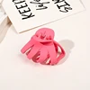 # 13 Fuchsia
