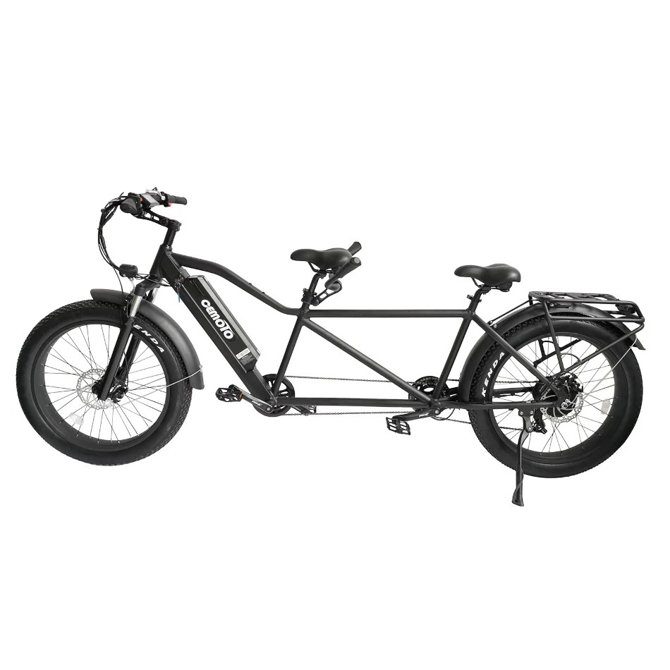 Cheapest Speed Fat Tire Electric Bicycle With Pedals Twin Classic Tandem  Adult Bike 500w 750w 1000w 48v Litium Battery