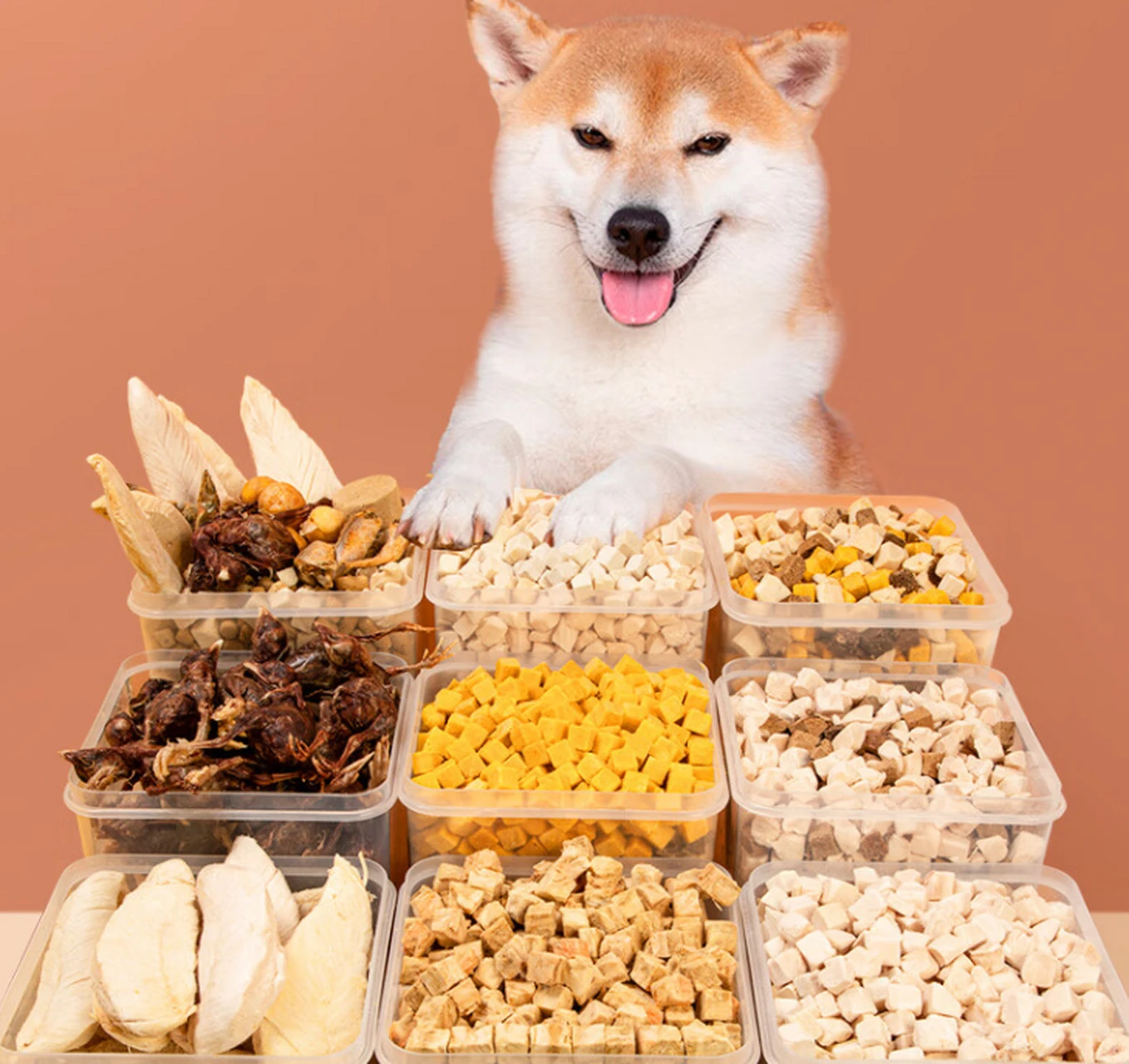 product eco friendly organic freeze dried chicken  grains high protein treats with vitamins  minerals for cats  dogs skin coat health-7