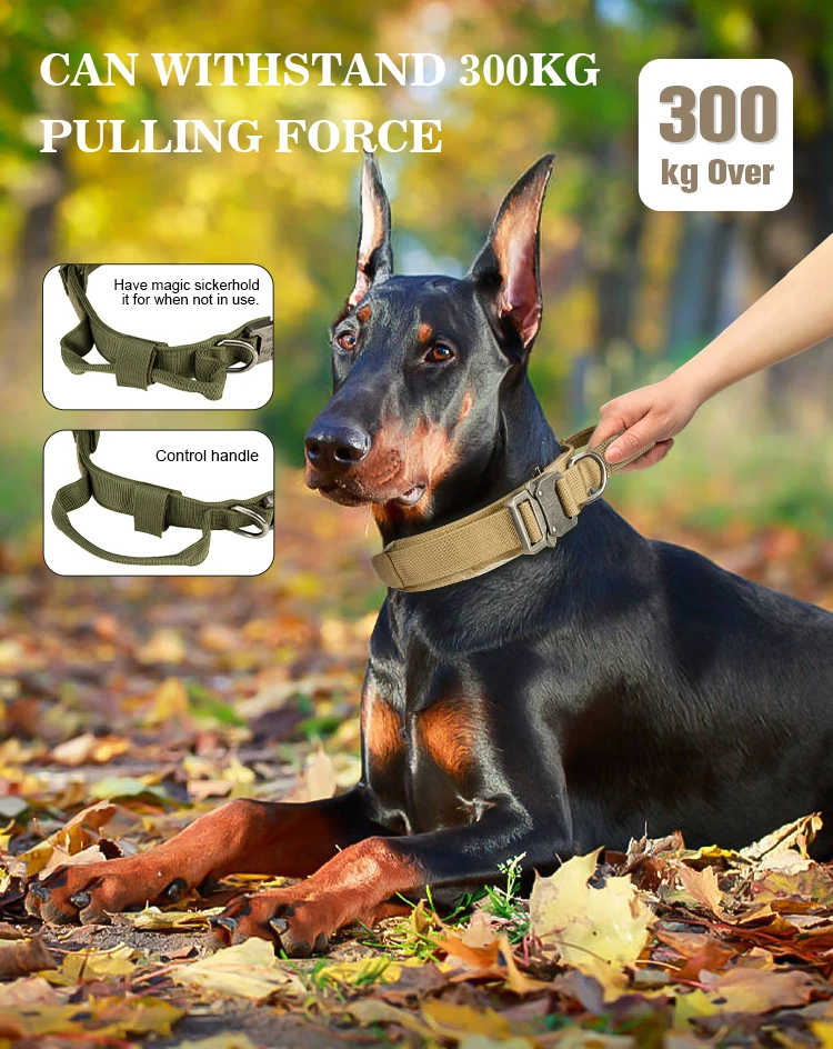 High Quality Heavy Duty Metal Buckle Pet Dog Training Collar Large Dogs