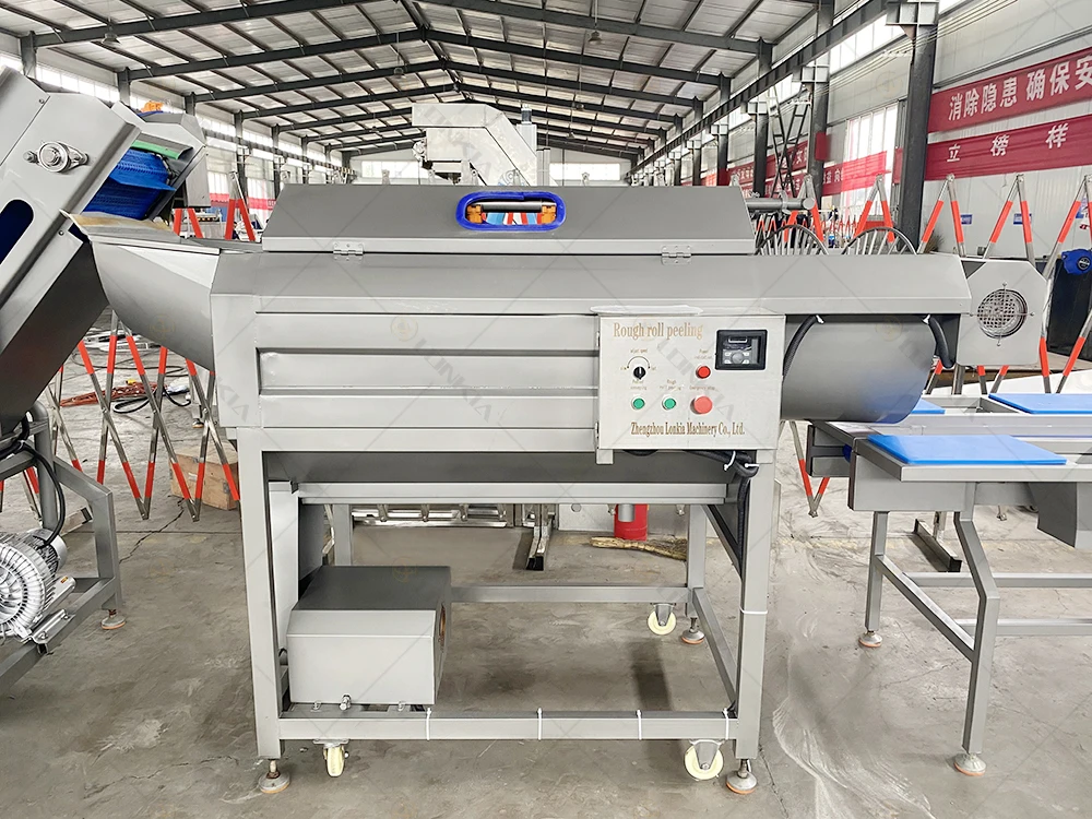 Carrot Cleaning Machine manufacture