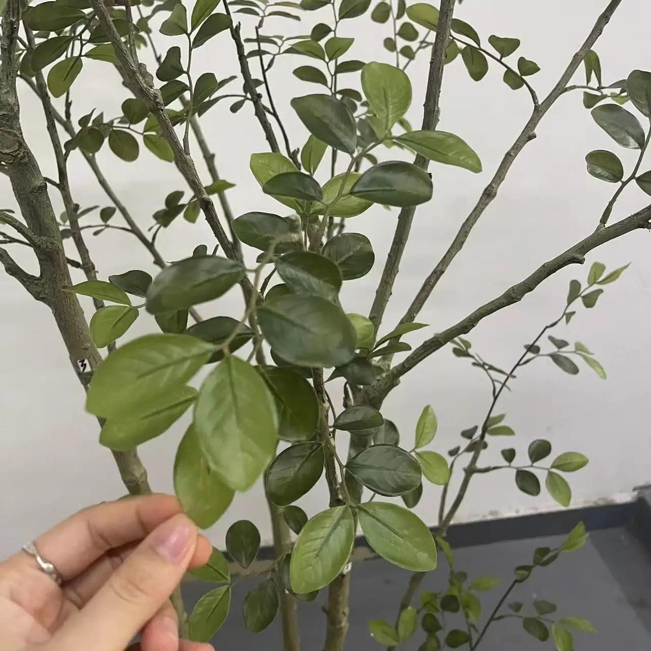 New Artificial Crape Myrtle Tree Suitable for Landscape Layout Florist Recommended Style Home Decoration-149