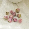 Crushed ice powder-side pin