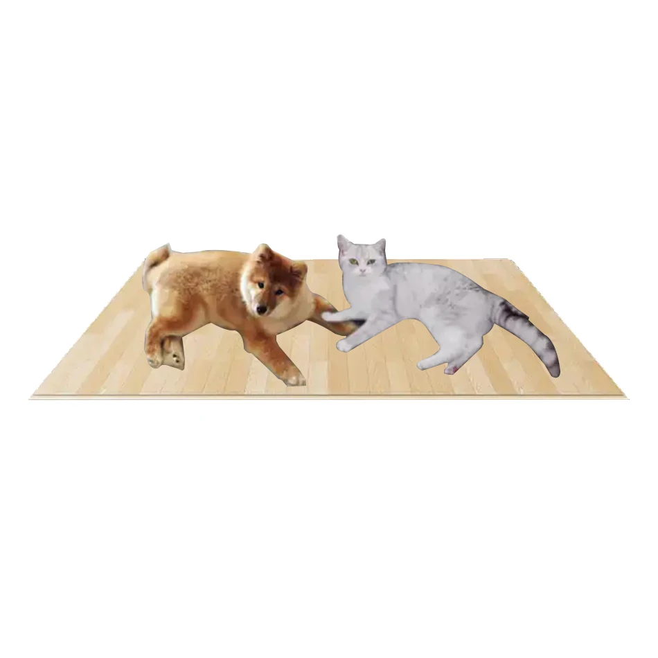 High Quality Customizable Graphene Far Infrared Electric Floor Carpet Self-Heating Pad Pet Heating Mat
