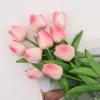 Degradado Rosa