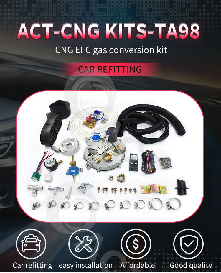 High Efficiency EFI LPG Conversion Kit for Trucks/Taxi - ISO9001/TS16949 Certified Carburetor System with ECU"