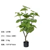 Heartleaf Ficus spring green, 110cm (49 leaves)