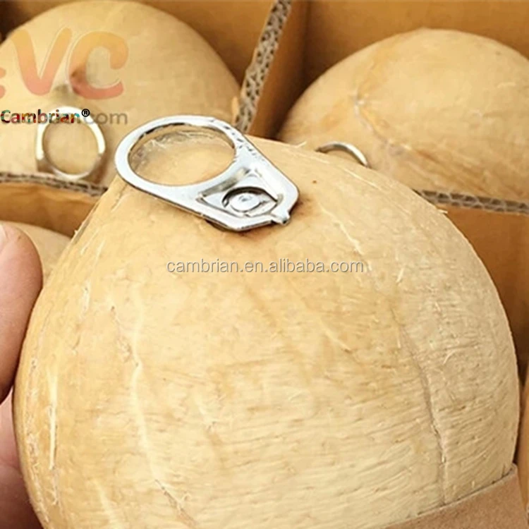 New Coconut Shell Laser Cutting and Engraving Machine with CO2 Laser Tube