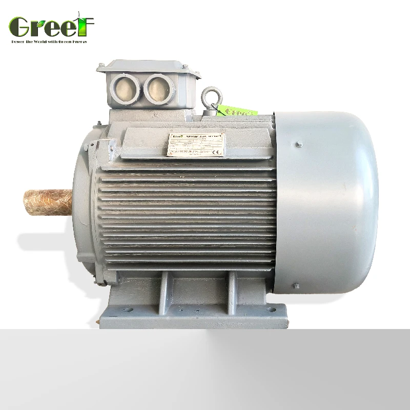 Générateur / Alternateur Électrique Éolien 12V 24V 48V