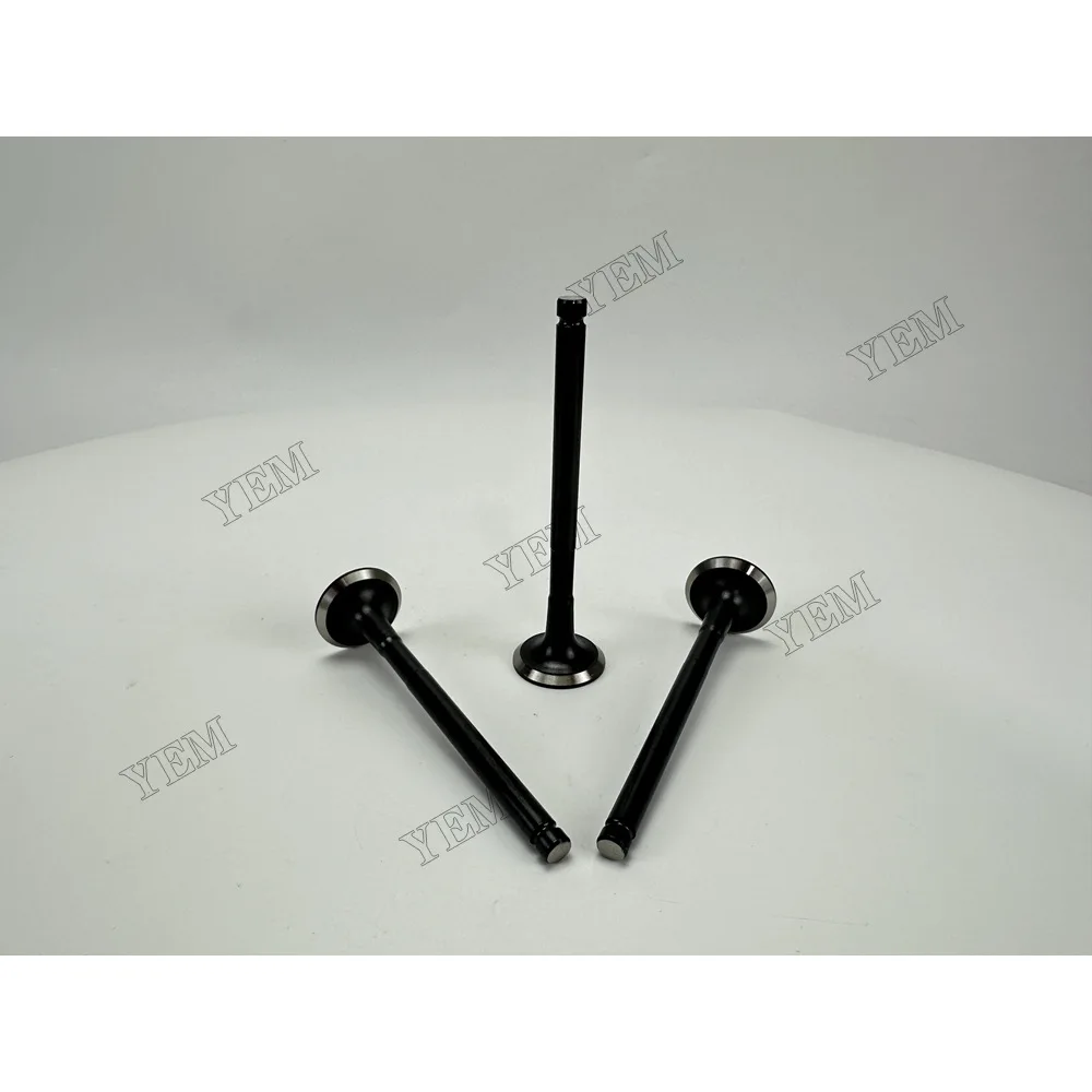 Exhaust Valve for Isuzu 3KC2 Fast Delivery Engine Parts 2