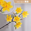 5 flores de magnolia amarillas