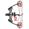 Black-compound bow