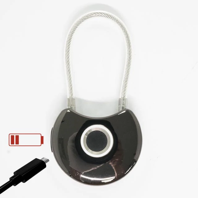 diary padlock
