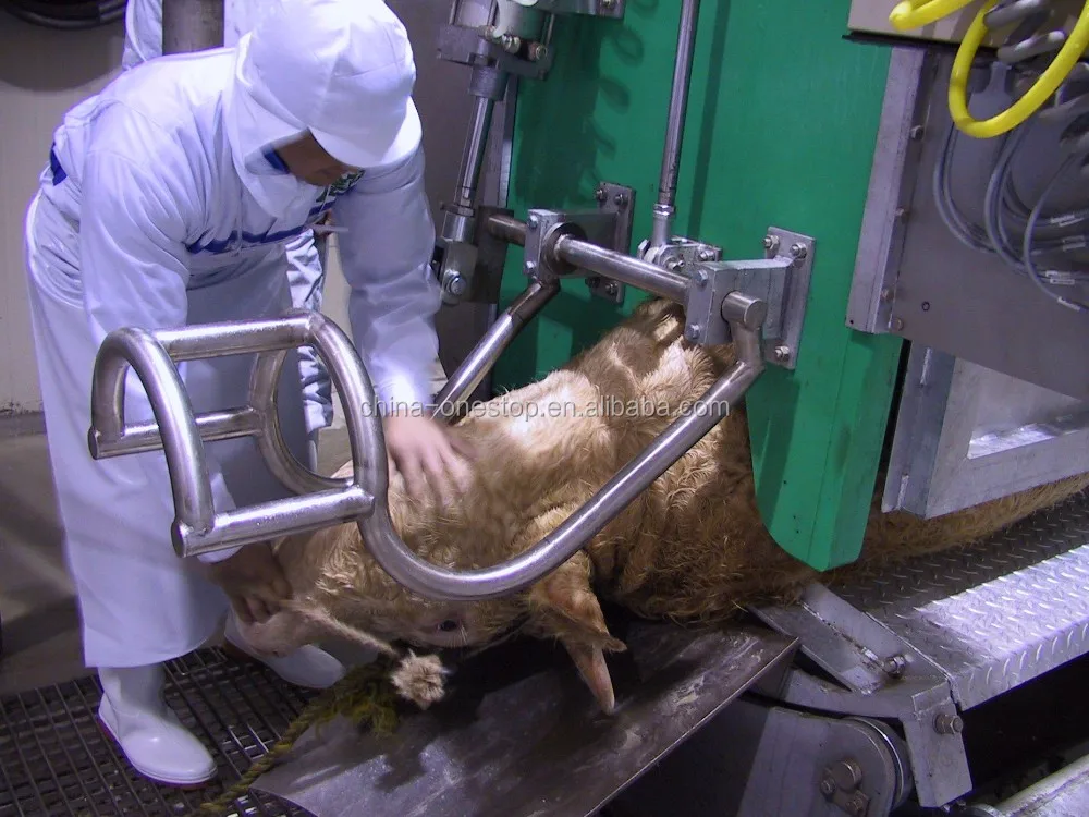 Religious halal cattle rotary kill box for slaughterhouses