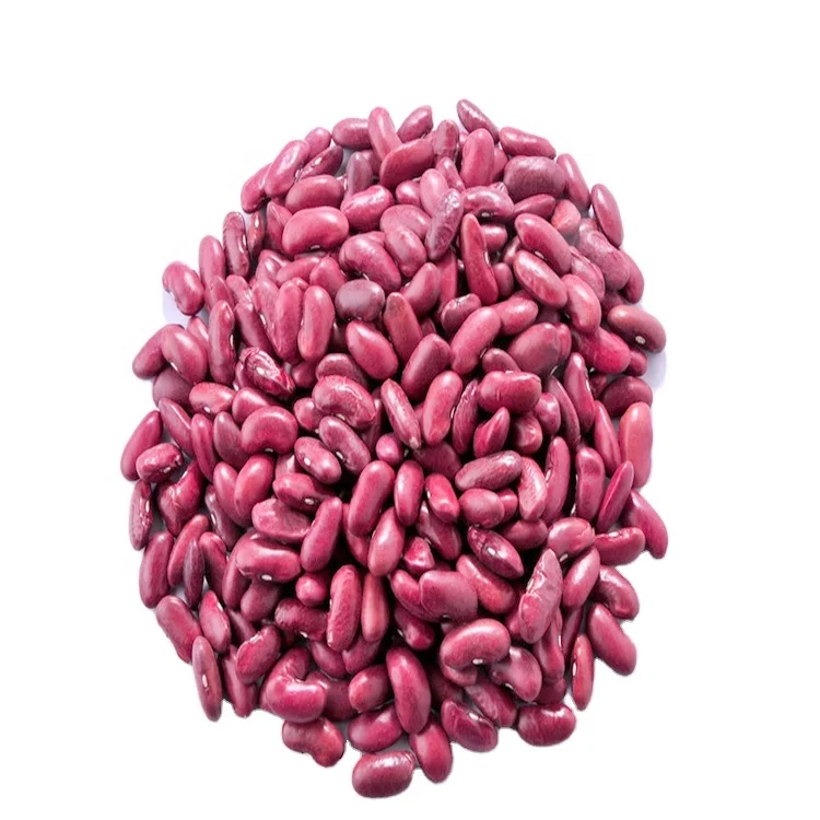 dark red kidney bean for good sale
