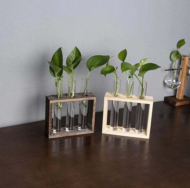 2 Piani Vaso da Parete Vaso Provette on Supporto in Legno, Fioriera in Vetro da Appendere