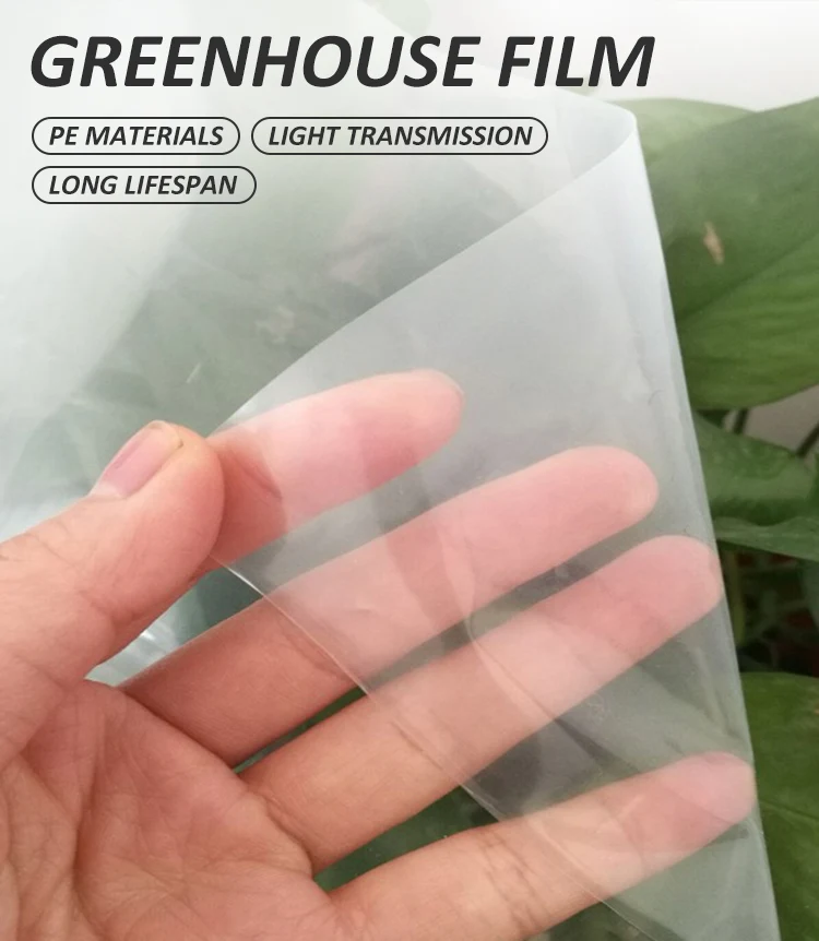 Transparent Greenhouse Film Uv Resistant Film 200 Micron Greenhouse