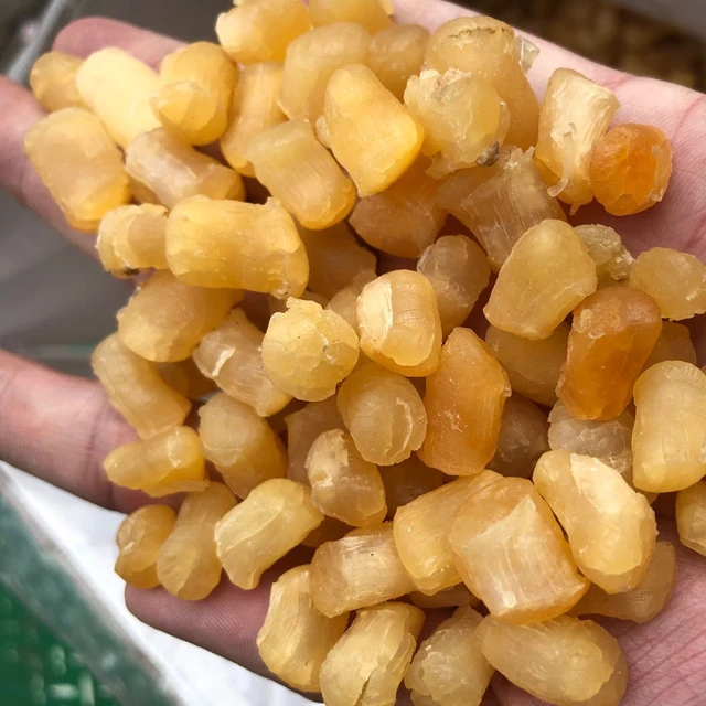 Best Different Sizes Scallop Meat Dried Scallop For Sale High Quality