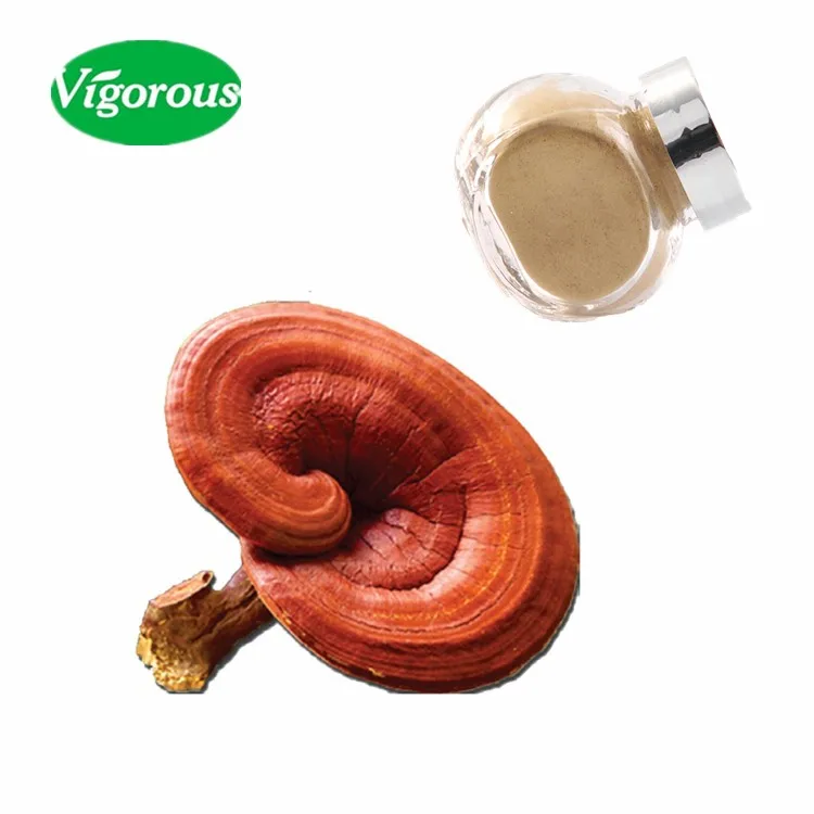 
 Чистый натуральный экстракт грибов рейши для здравоохранения  