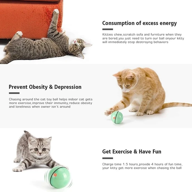 Toy Balls for Cats