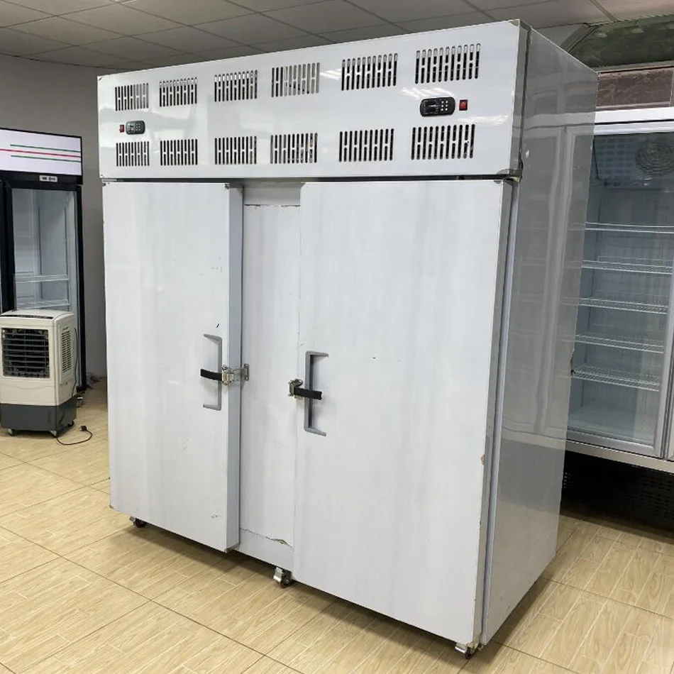 IQF Freezing Tunnel Low Deep Freezer Commercial Industrial Upright Blast Chillers and Shock Freezers