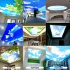 Plafond ciel d'arbre
