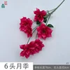 6-headed rose XY, magenta