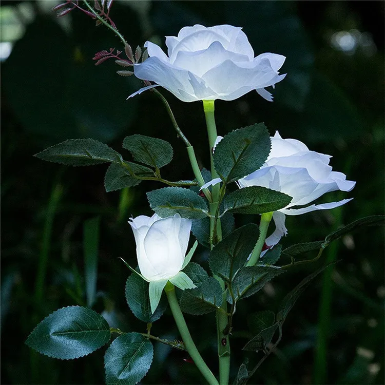 Ночные белые цветы. Белый светящийся цветок. Светок фото